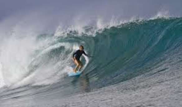 Best of Bondi Private Tour