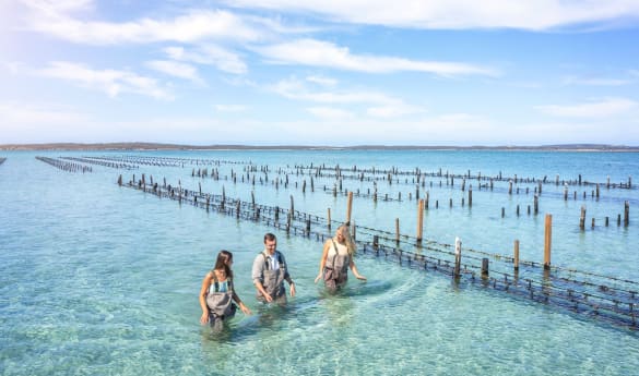 Coffin Bay Discovery