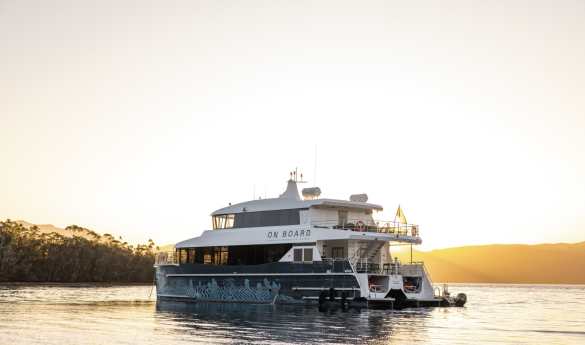 Port Davey Expedition Cruise
