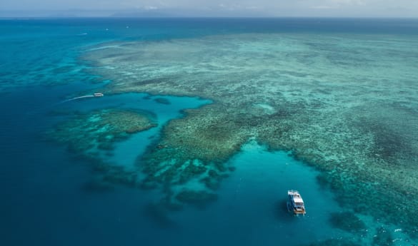 Upolu Cay and Great Barrier Reef Cruise