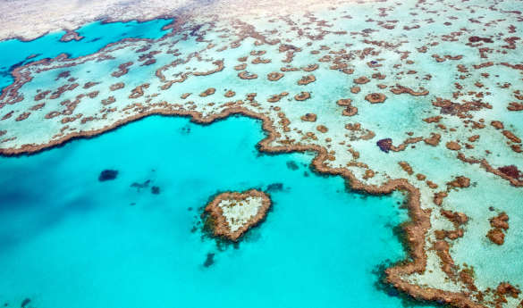 Australia Honeymoon