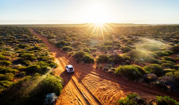 Australia Unlocked: Wild South to Island North