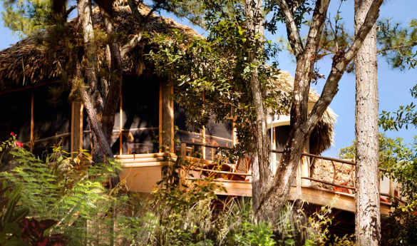 Gaia River Lodge