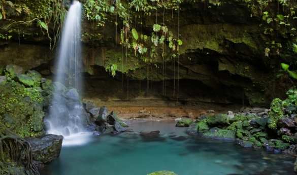 Cockscomb Wildlife Sanctuary Tour