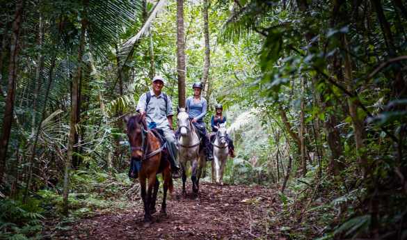 Horseback Riding Cayo District