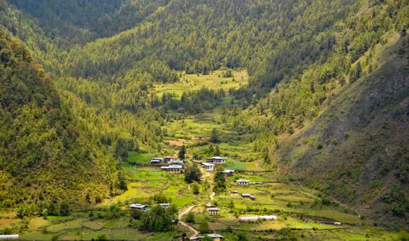 Day Trip to Chelela Pass and Hike Kila Goenpa