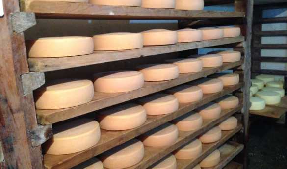 The Red Panda Brewery and Cheese Factory