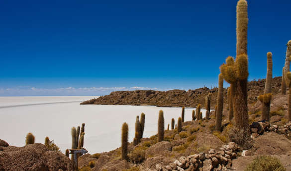 Day 2 - Uyuni Airstream - South to North