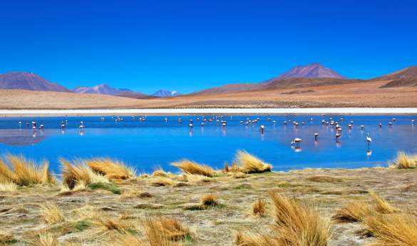 Ultimate Altiplanic Chile, Bolivia & Peru
