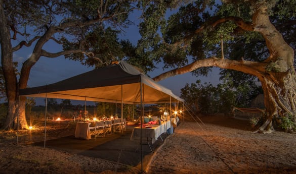 Beagle Expeditions - Kweene River Camp