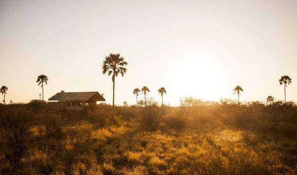 Camp Kalahari