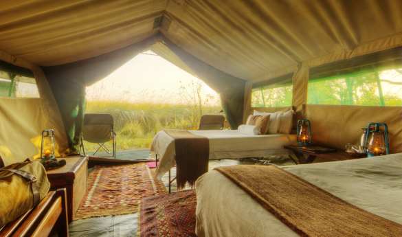 Footsteps Across the Delta