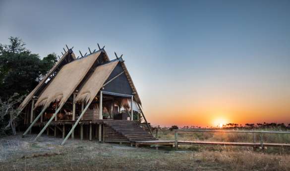 Selinda Camp