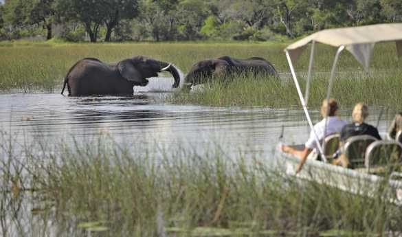 Boat safari in the Okavango Delta