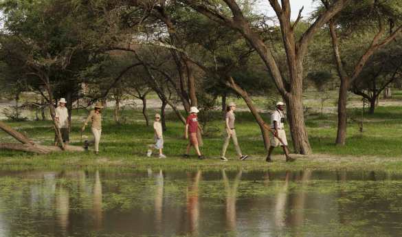 Walking Safaris and Nature Walks