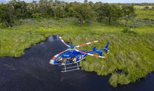 Botswana's Luxury Safari Odyssey