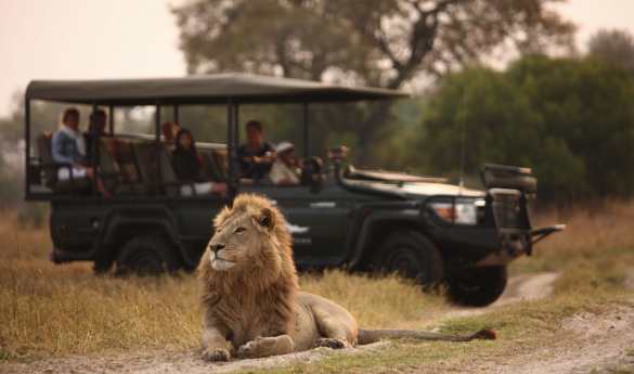 Exceptional Victoria Falls, Botswana & Mozambique
