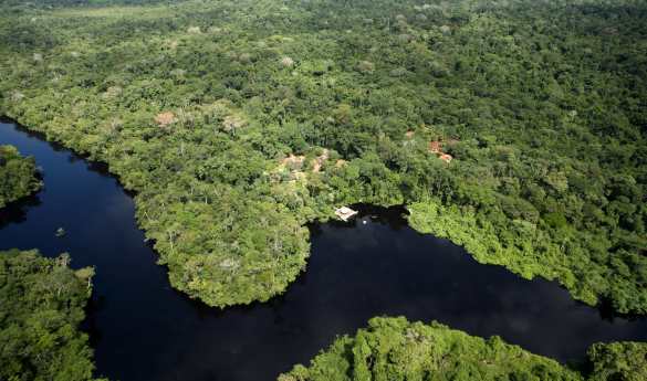 Cristalino Jungle Lodge