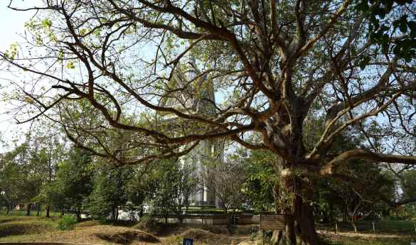 Genocide Museum and The Killing Fields
