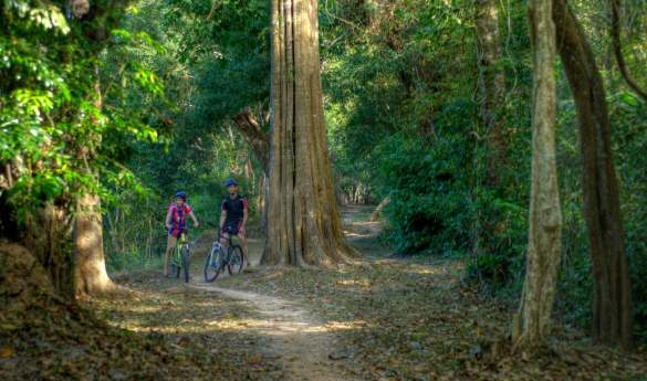 Temples of the Forest by bike