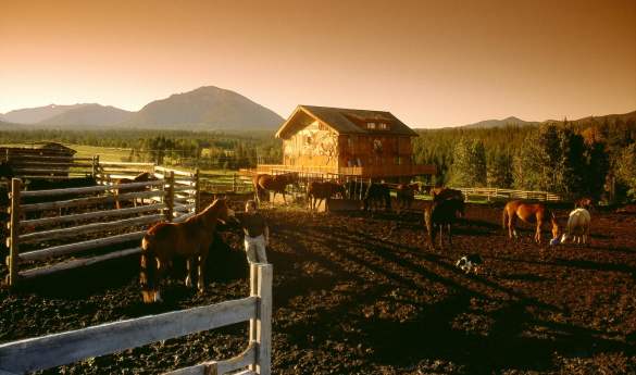 Echo Valley Ranch & Spa