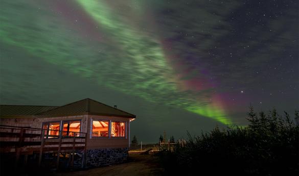 Nanuk Polar Bear Lodge