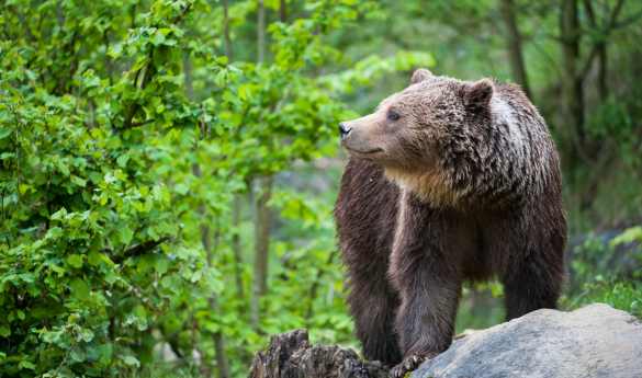 Day 2 - Farewell Harbor Lodge