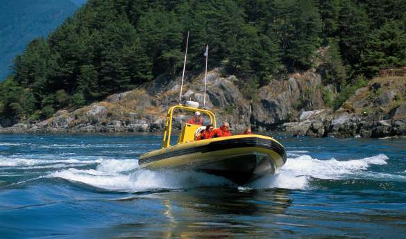 Guided 1-hour Zodiac Nature Tour at Sonora