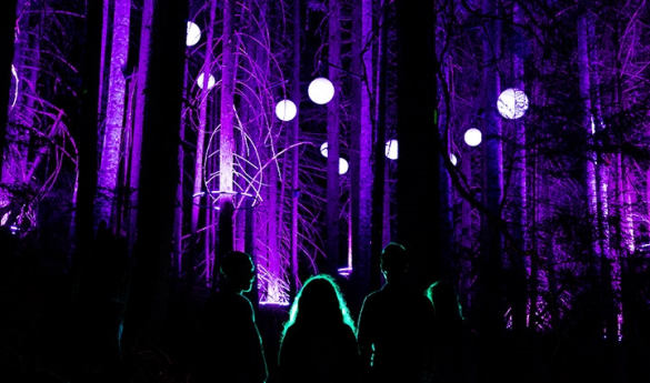 Vallea Lumina Experience