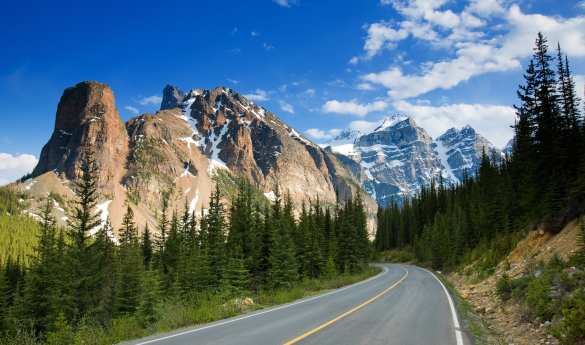 Bears, Ranch & Rockies - Canada Uncovered