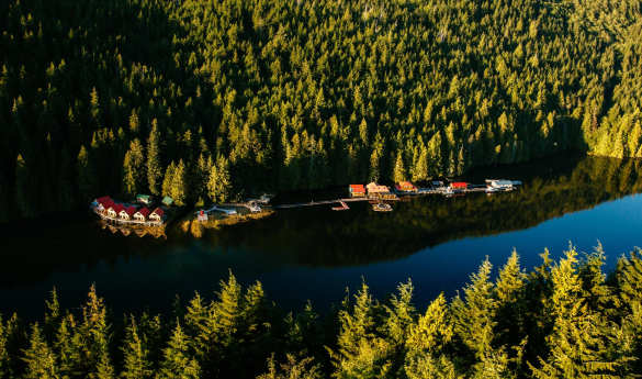 Ultimate Canada - Orcas, Dolphins & Bears