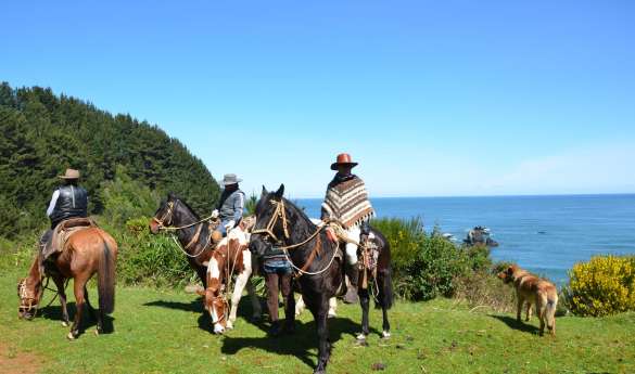 Horseback Riding at Vira Vira