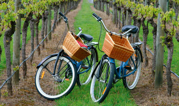 Wine & Bike in the San Antonio Valley