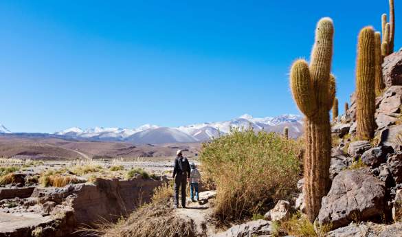 Family Fun in Chile