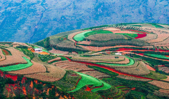 Dongchuan Shanju