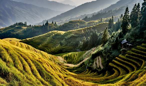 LongJi One Art Hotel