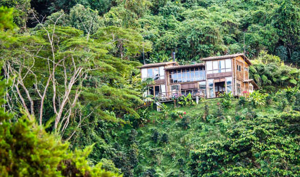 Casa Oropendola