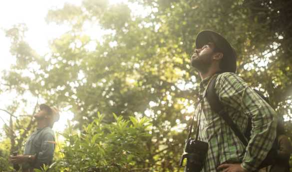Los Llanos Birdwatching