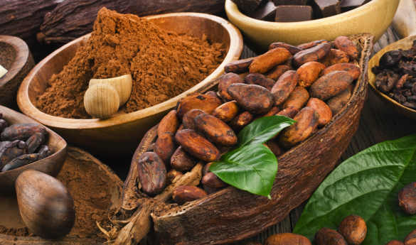 Rum & Cacao Tasting