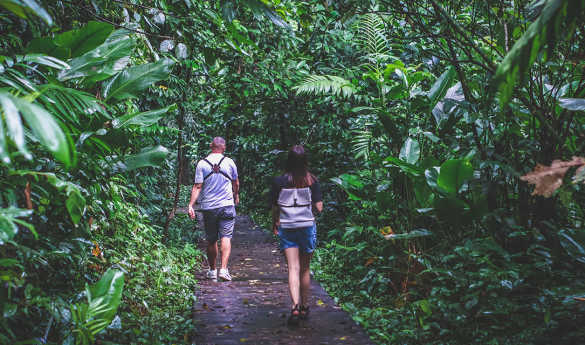 Day hike on the trails of Tortuga Lodge