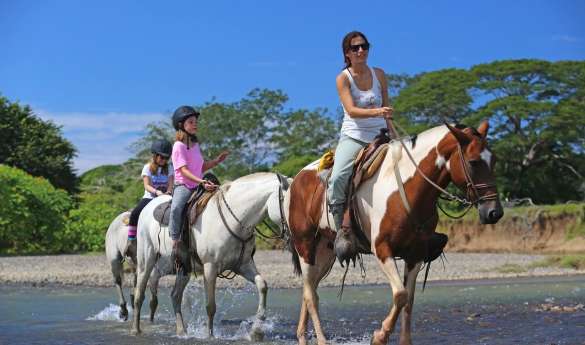 Don Tobias Horseback Riding