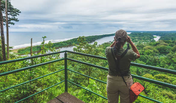Hiking Cerro Tortuguero