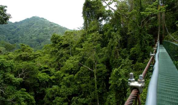 Monteverde Sky Tram, Trek & Walk