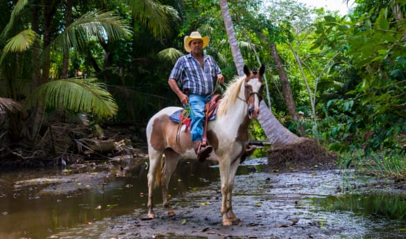 Saddle up at Hacienda Aromal
