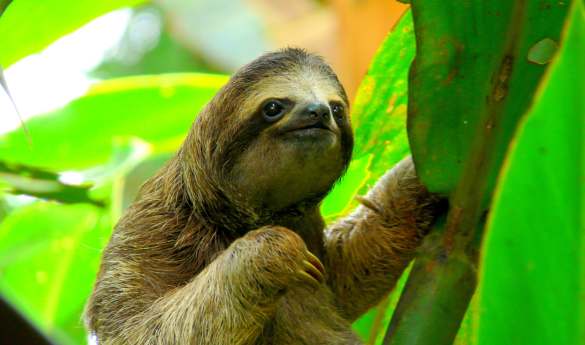 Costa Rica with Kids