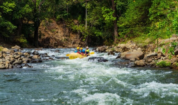 Teens-First Adventures: Costa Rica Rainforest Rush