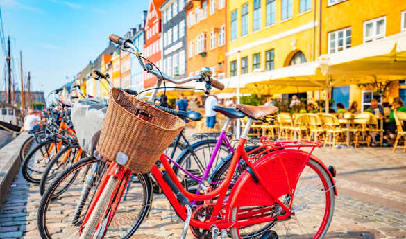 Complete Copenhagen Private Bike Tour