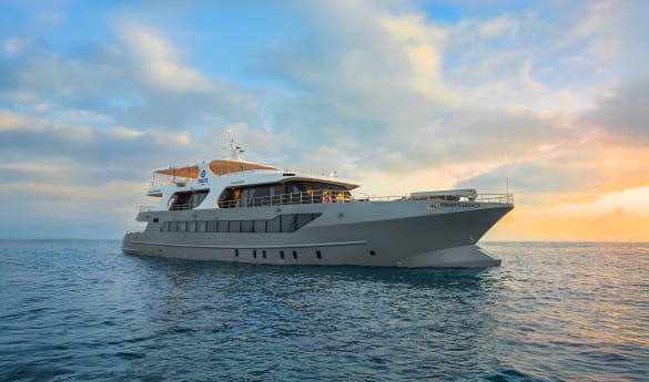 Tribute Galapagos Cruise