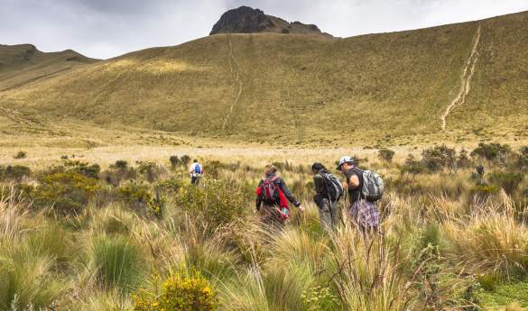 Hiking and trekking at Hacienda Zuleta
