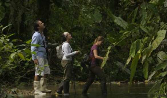 Hiking trails at Mashpi